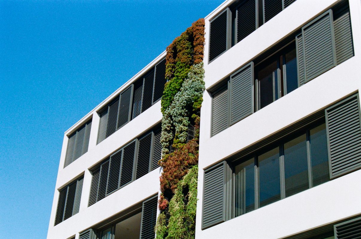 Building with Green Flowers