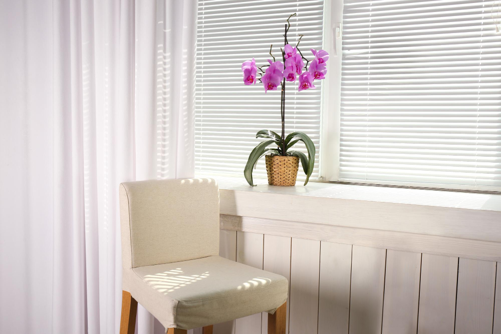 peaceful clean room with an orchid on the windowstill and a chair next to the window