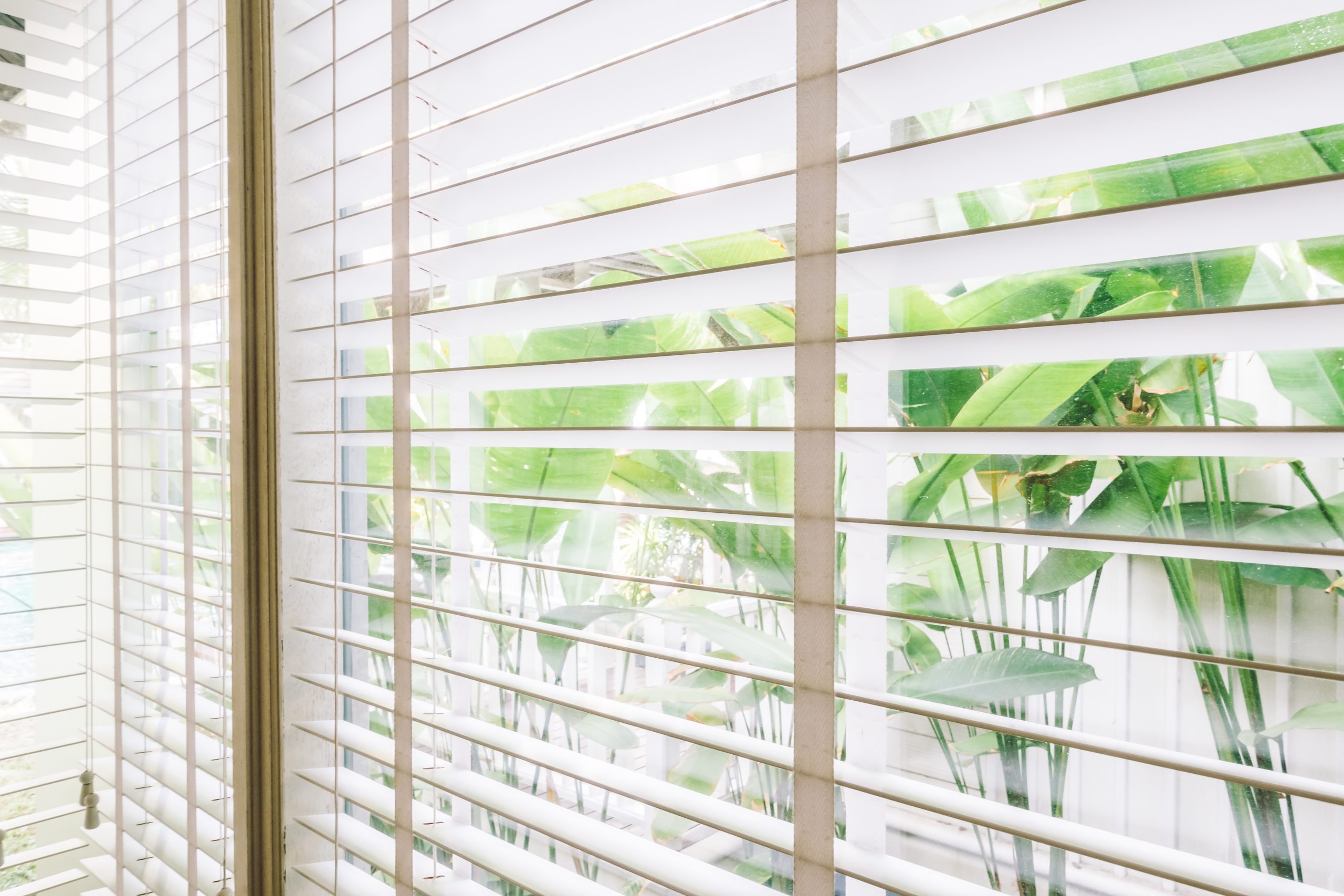 Window Blind Inspiration: Transform Your Space with Style
